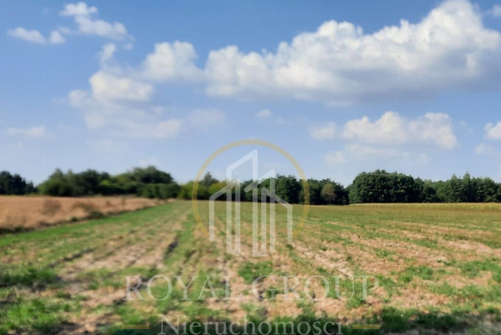 Działka rolna Rudno. Zdjęcie 2