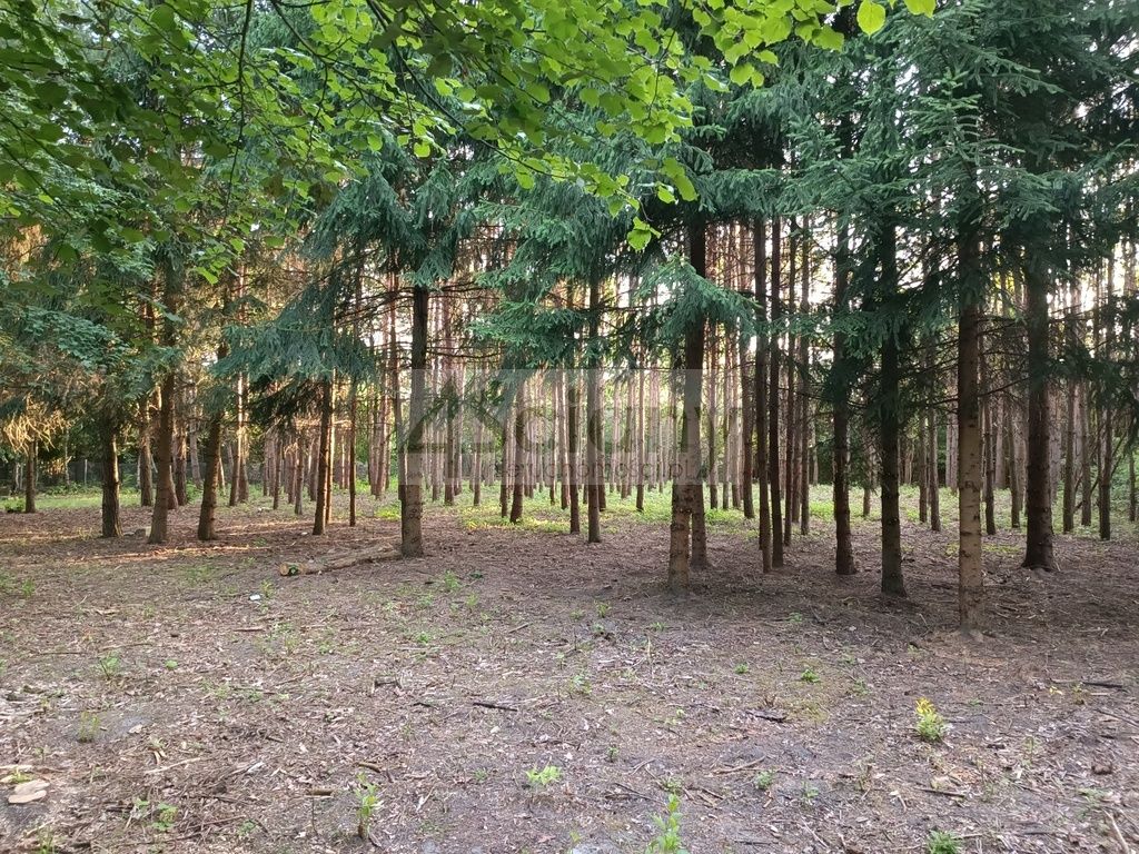 Działka budowlana Sulejówek Ratajewo. Zdjęcie 5