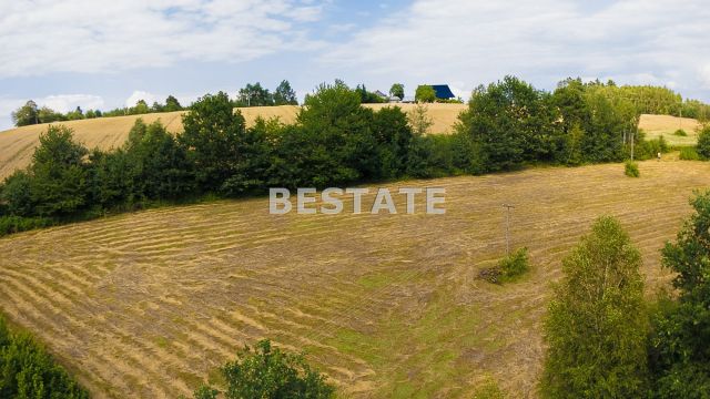 Działka budowlana Paleśnica. Zdjęcie 7