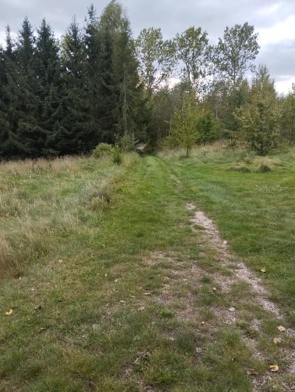 Działka budowlana Wołownia