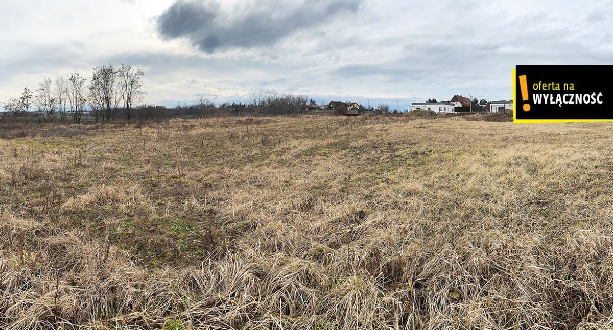 Działka inwestycyjna Racibórz, ul. Podmiejska. Zdjęcie 8