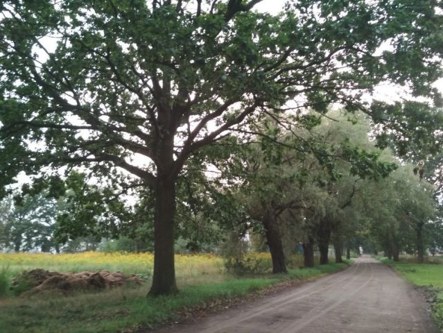 Działka budowlana Paproć, Paproć. Zdjęcie 2