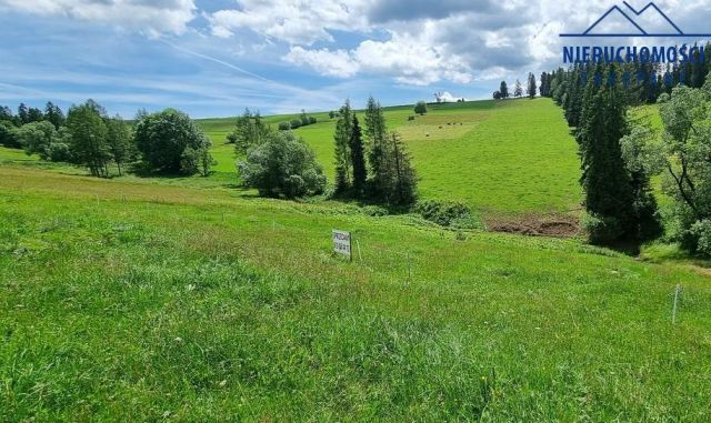 Działka rolna Rzepiska, ul. Potok Grocholów. Zdjęcie 7