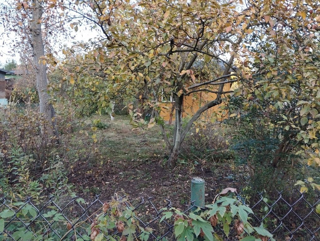 Działka rod Warszawa Targówek. Zdjęcie 4