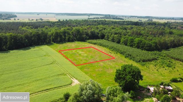 Działka budowlana Gostomin Gildnica. Zdjęcie 1