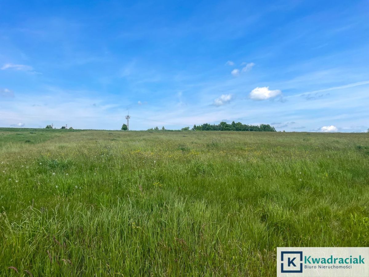 Działka budowlana Czermna. Zdjęcie 13