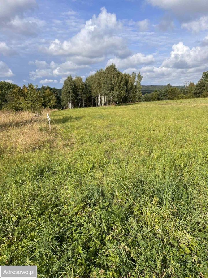 Działka rolno-budowlana Kwaśniów Górny. Zdjęcie 6