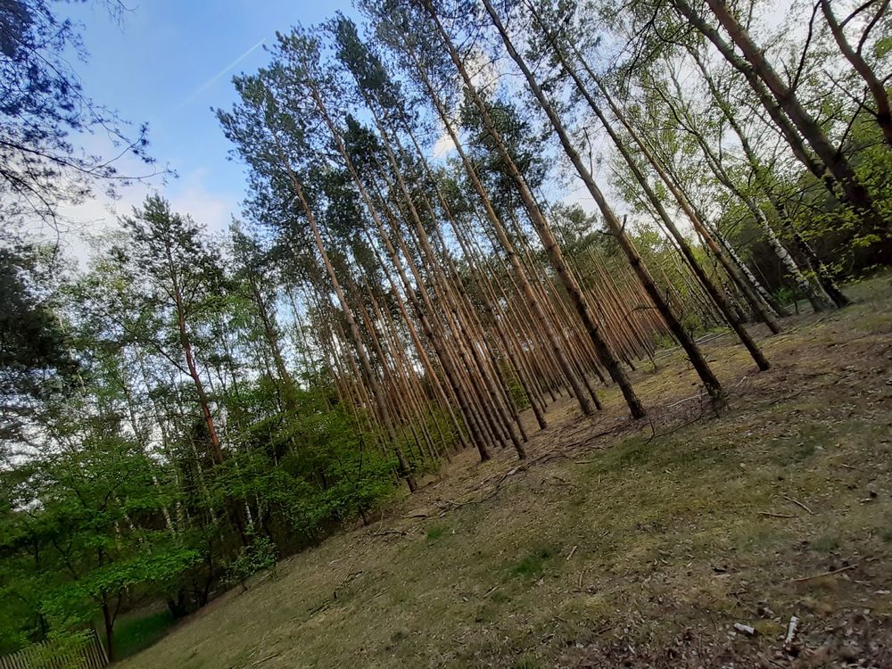 Działka rekreacyjna Kruczy Borek