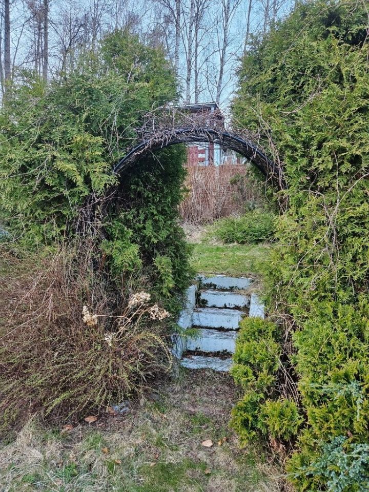 Działka rod Warzenko. Zdjęcie 4