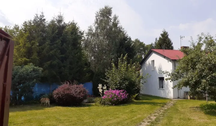 dom wolnostojący, 6 pokoi Święchowo
