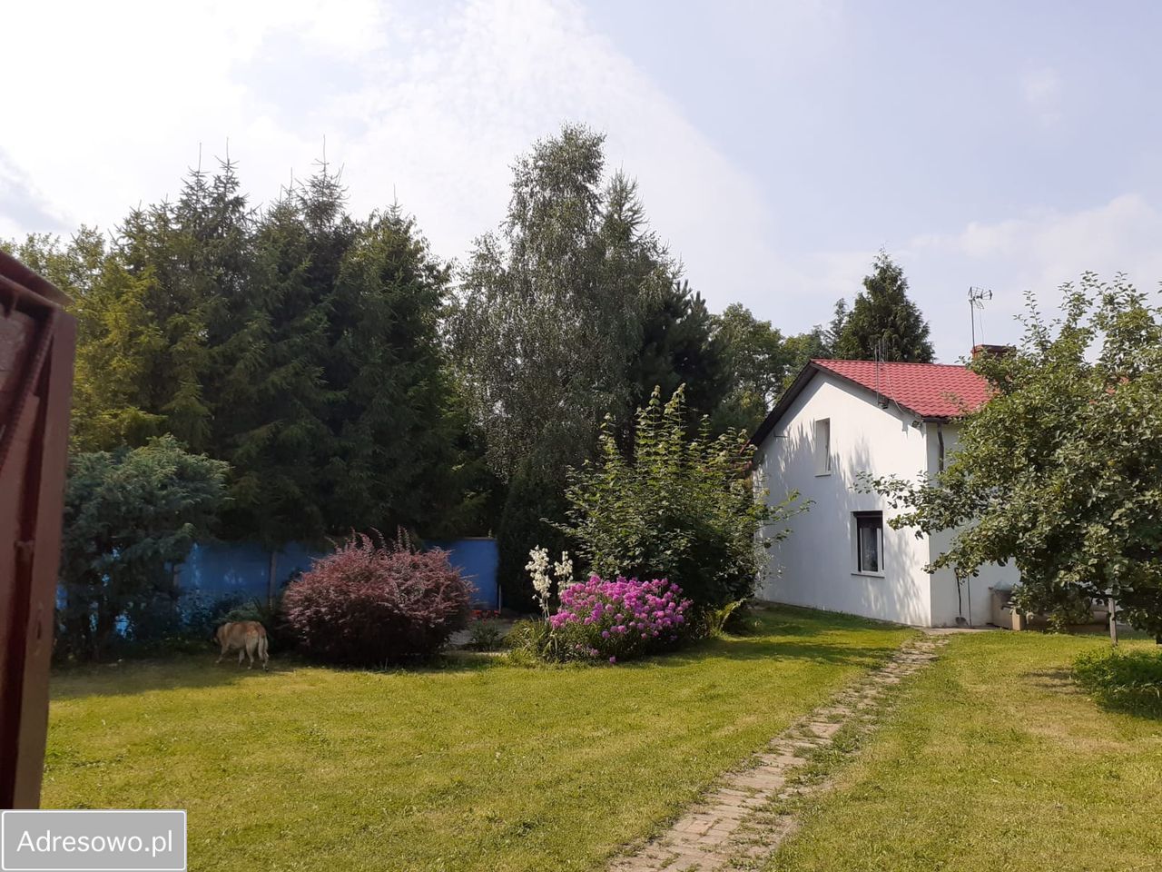 dom wolnostojący, 6 pokoi Święchowo. Zdjęcie 1