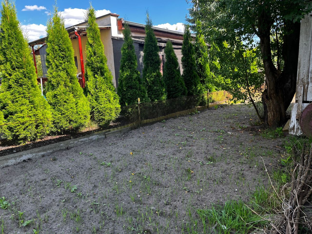 Działka rod Poznań Krzesiny, ul. Jarosławska. Zdjęcie 4