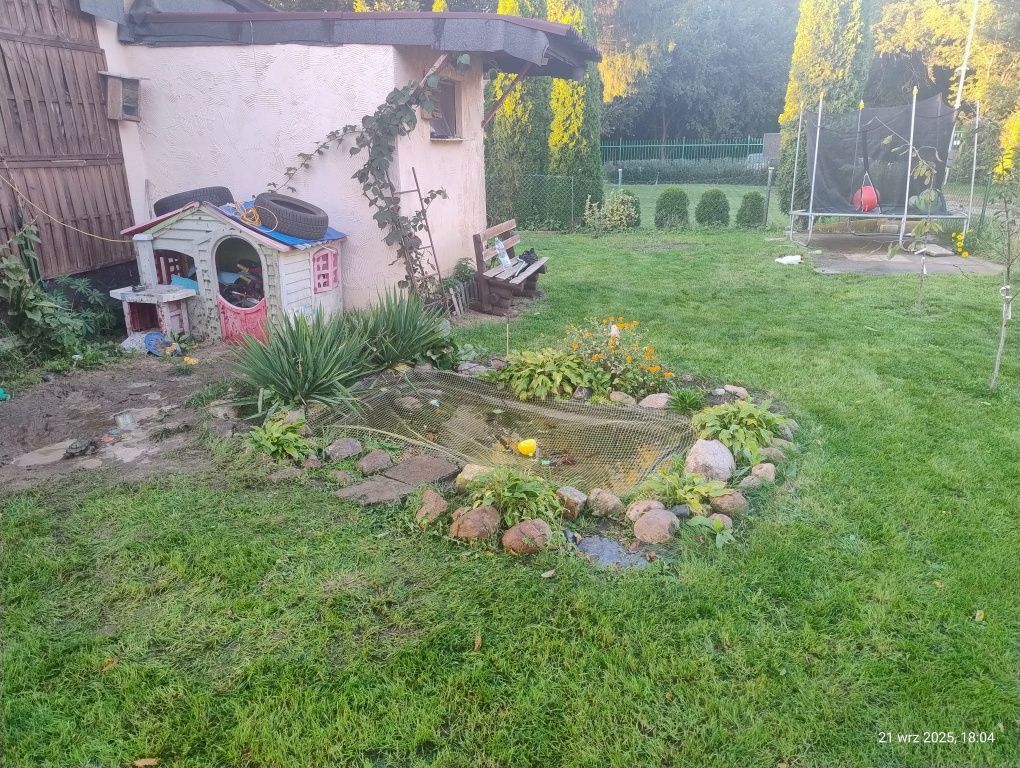 Działka rod Toruń Rudak