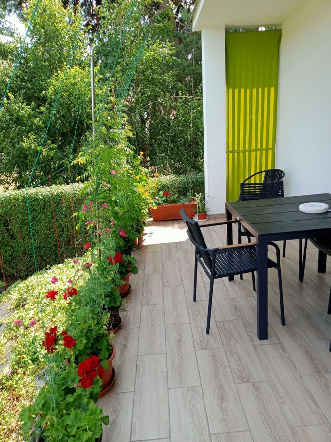 dom wolnostojący, 5 pokoi Biała Podlaska, ul. Łomaska. Zdjęcie 11