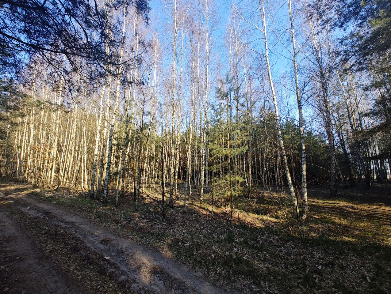 Działka rolna Długie Grodzieckie. Zdjęcie 6