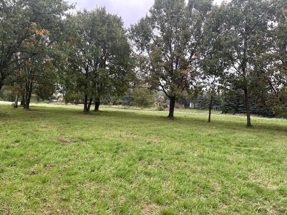 Działka rolna Wola Batorska. Zdjęcie 2