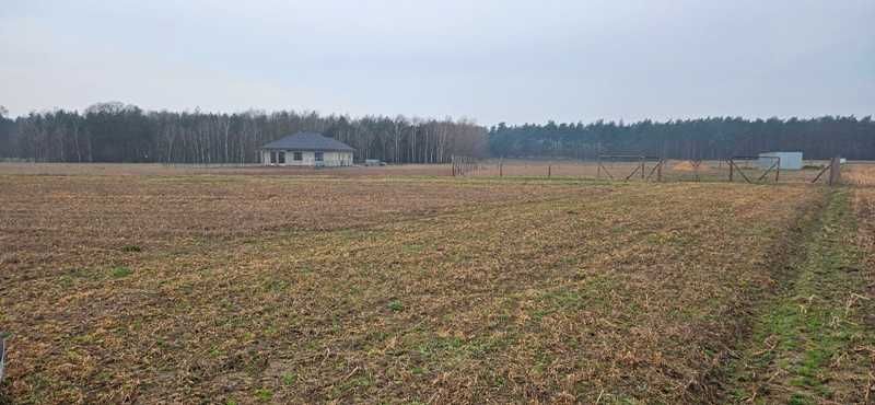 Działka budowlana Nowy Dwór. Zdjęcie 6