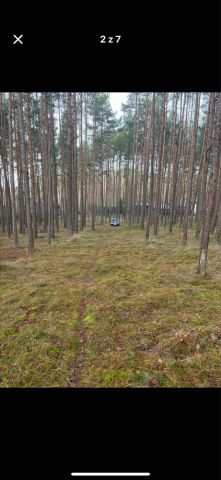 Działka leśna Osiek. Zdjęcie 1