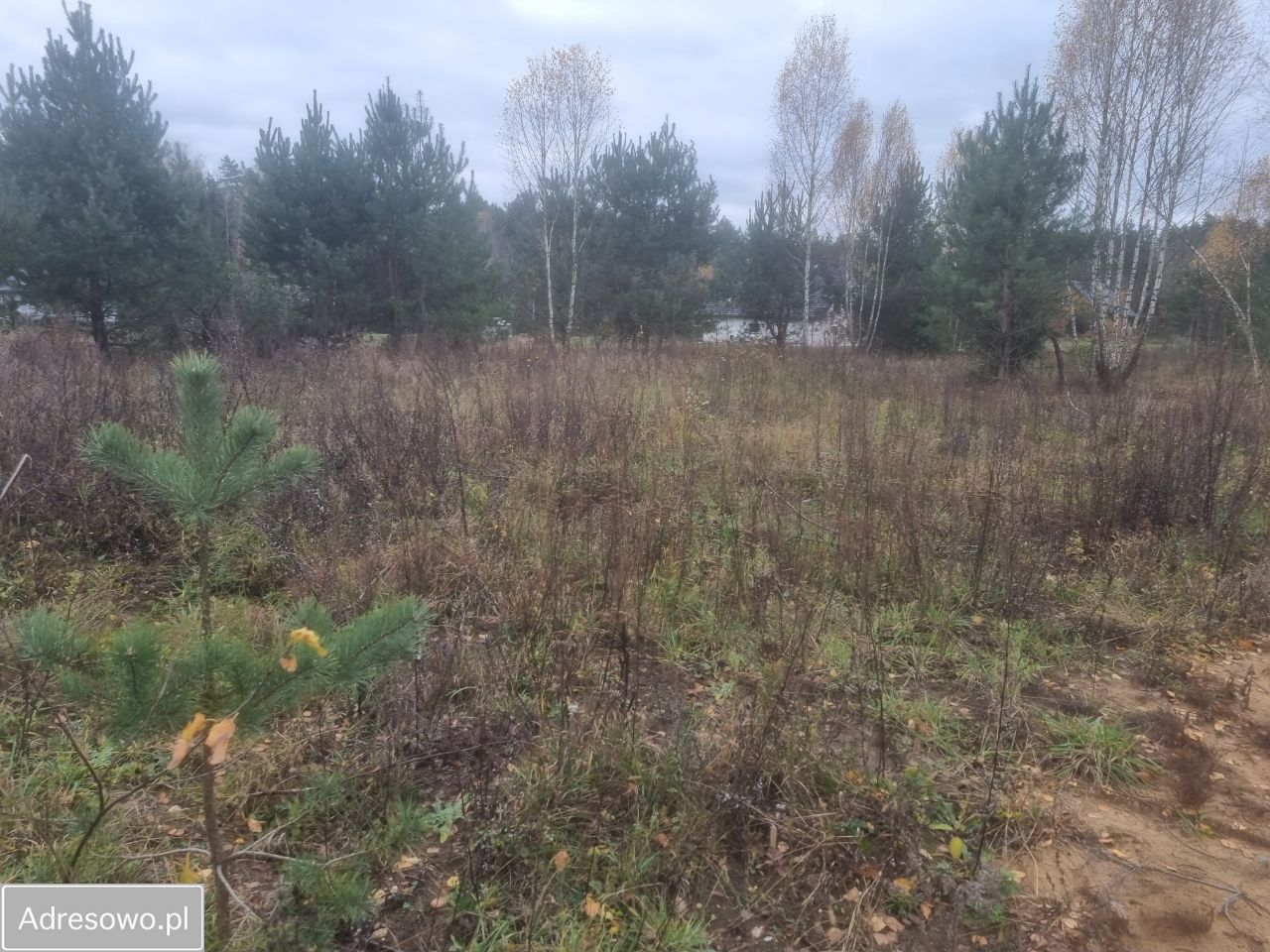 Działka budowlana Czarna Białostocka, ul. Brzozowy Mostek. Zdjęcie 4