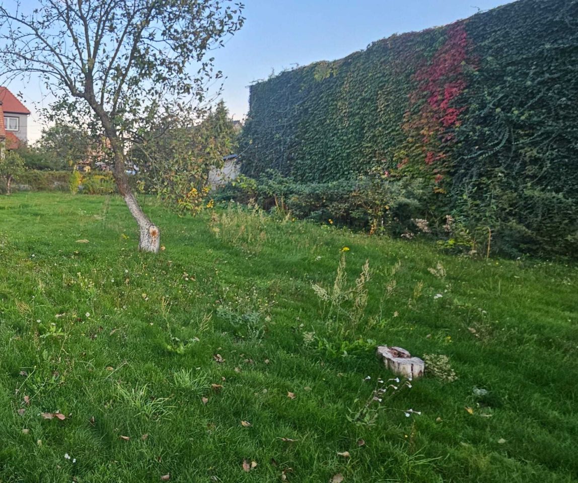 dom wolnostojący, 5 pokoi Budziechów. Zdjęcie 2