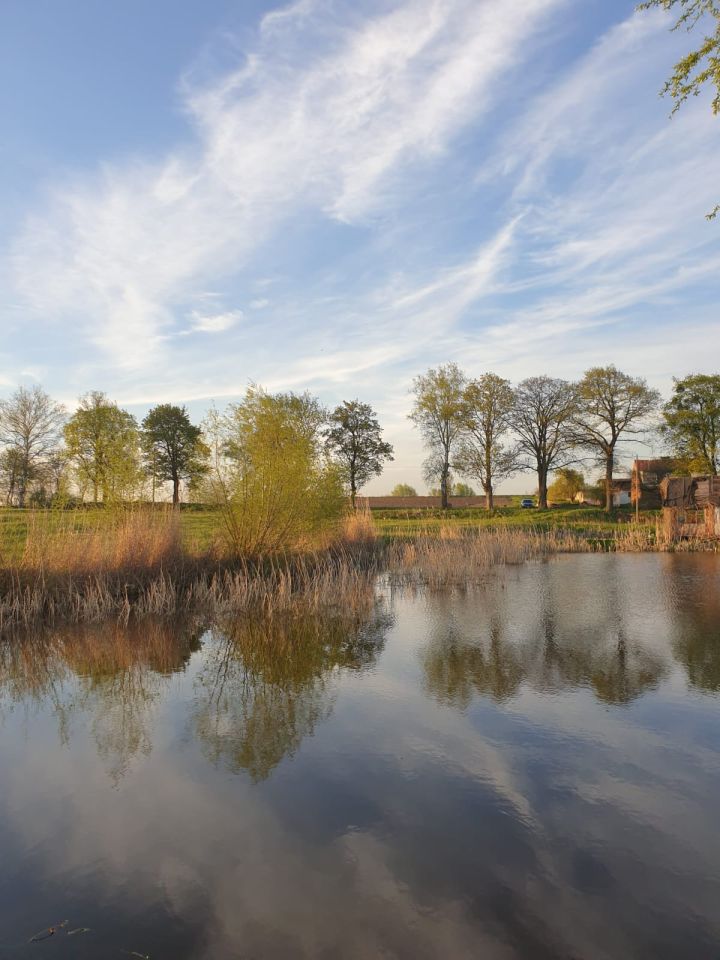 Działka rolno-budowlana Sztumska Wieś osada. Zdjęcie 2