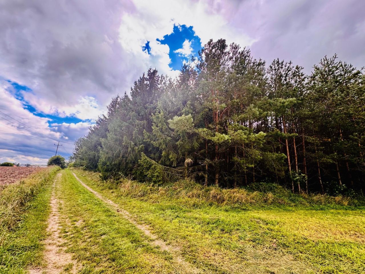 Działka siedliskowa Drygały, ul. Polna. Zdjęcie 7