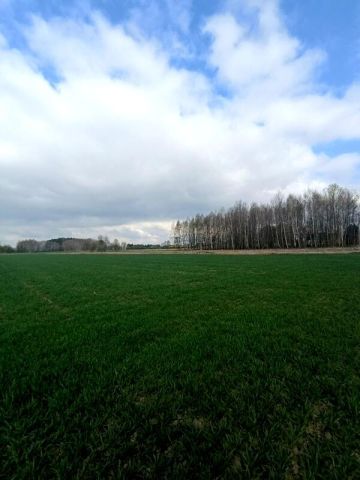 Działka budowlana Świerzowa Polska. Zdjęcie 9