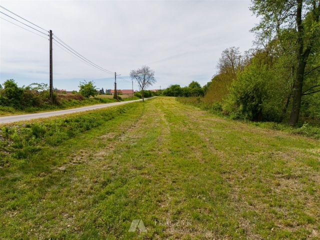 Działka siedliskowa Sobolew. Zdjęcie 12
