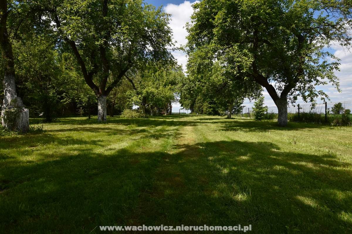 dom wolnostojący, 5 pokoi Kozłów. Zdjęcie 19