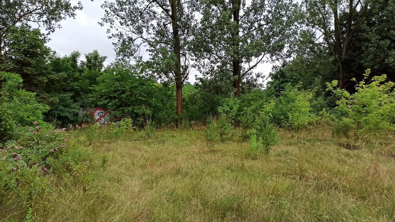 Działka inwestycyjna Poddębice, ul. Łódzka. Zdjęcie 5