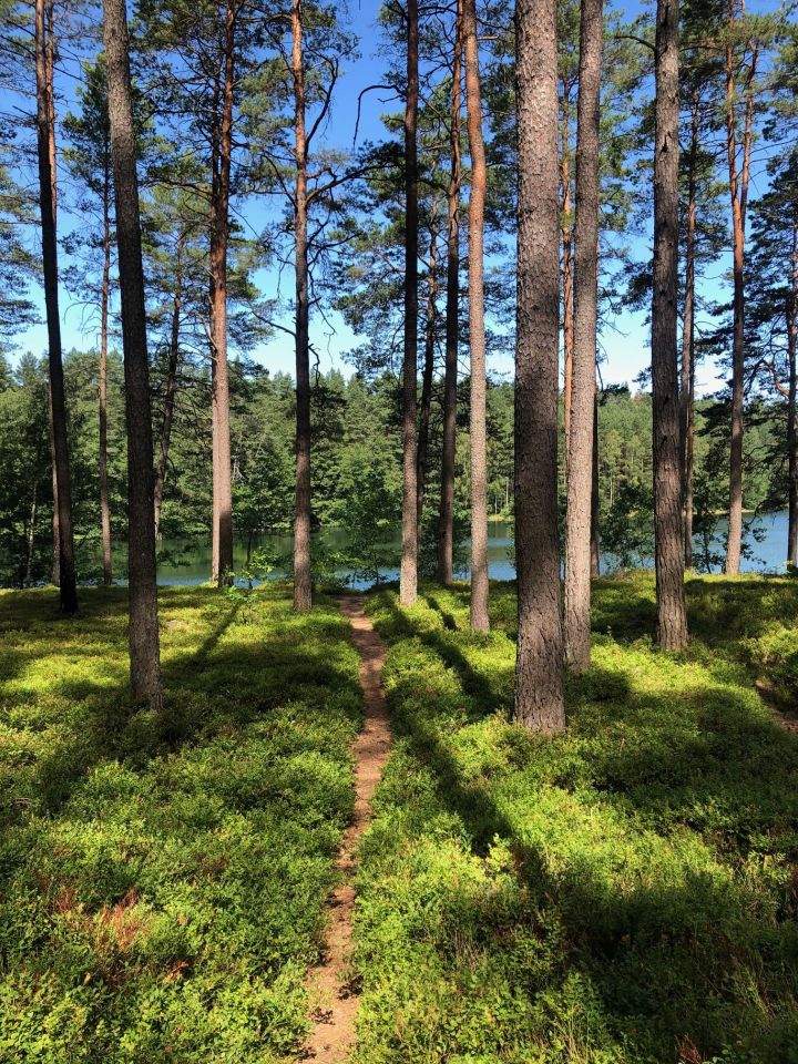 Działka budowlana Chośnica. Zdjęcie 5
