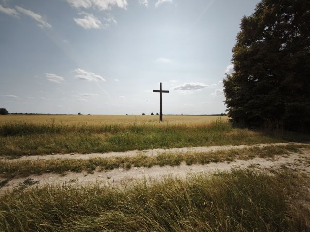 Działka rolna Droblin. Zdjęcie 1