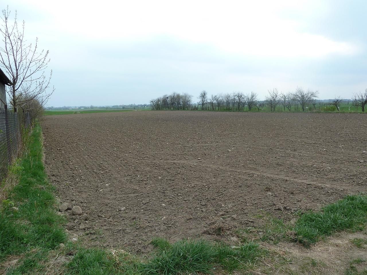 Działka rolno-budowlana Kacice. Zdjęcie 5