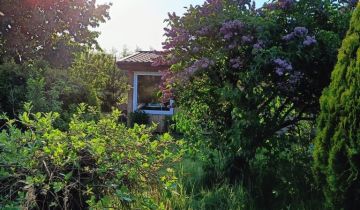 Działka rod Widziszewo, ul. Podgórna