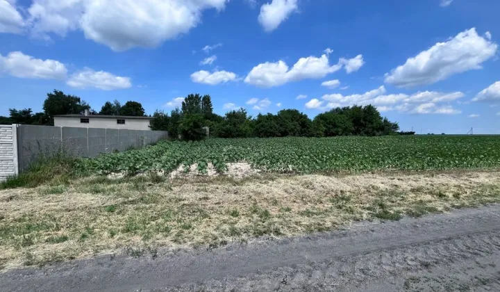 Działka budowlana Stare Rowiska