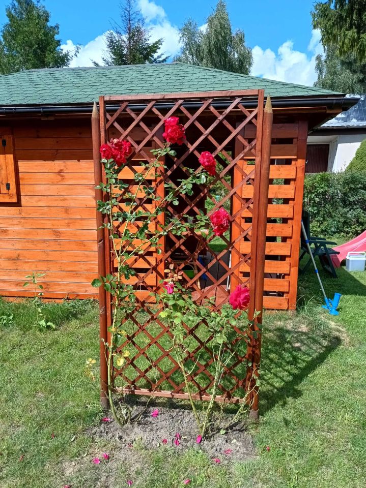 Działka rod Ciechanów, ul. Opinogórska. Zdjęcie 6