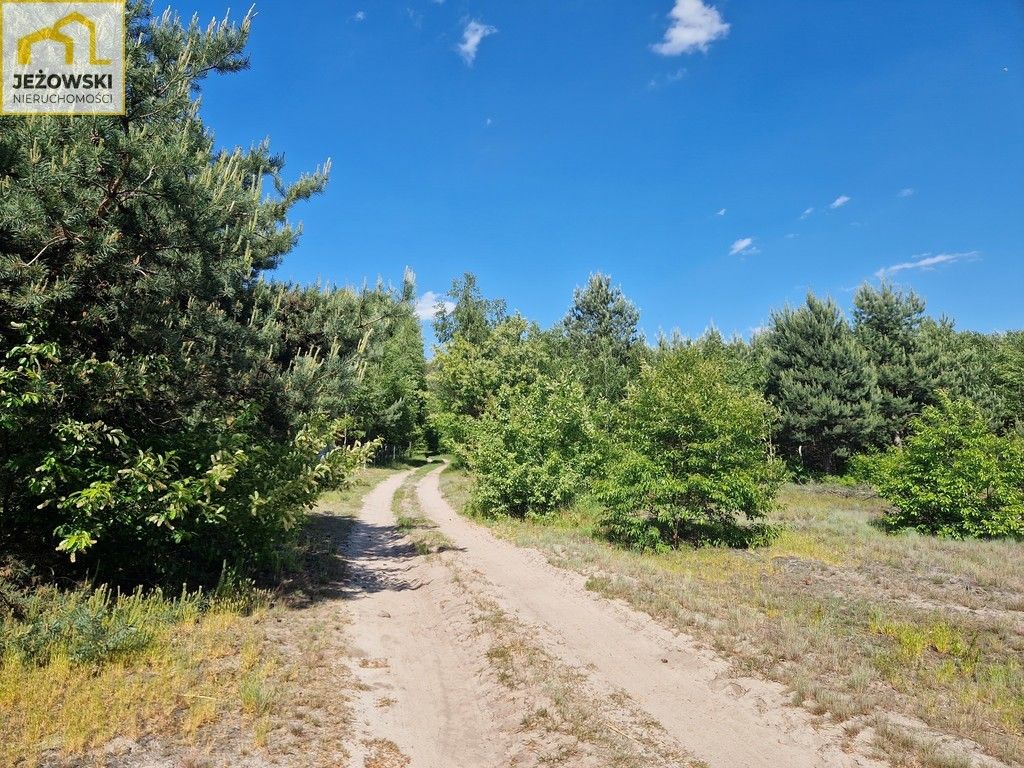 Działka rolna Nowosiółki. Zdjęcie 9