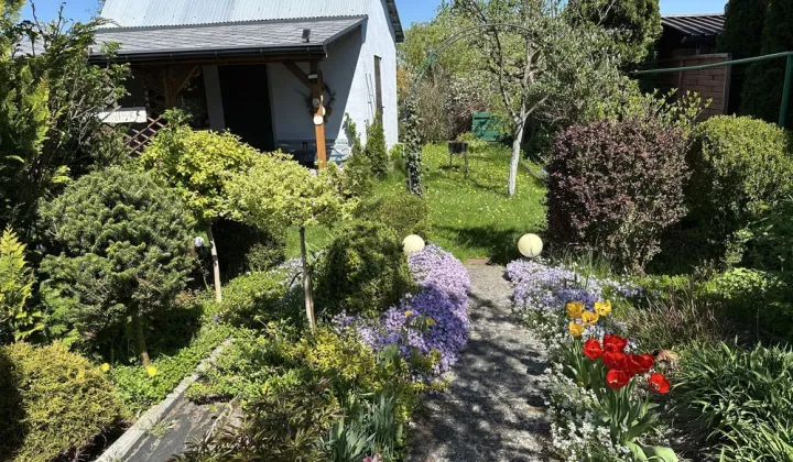 Działka rod Bełchatów, ul. Cegielniana