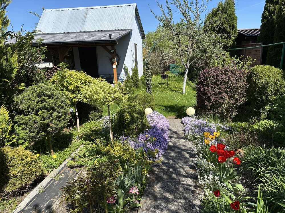 Działka rod Bełchatów, ul. Cegielniana. Zdjęcie 1