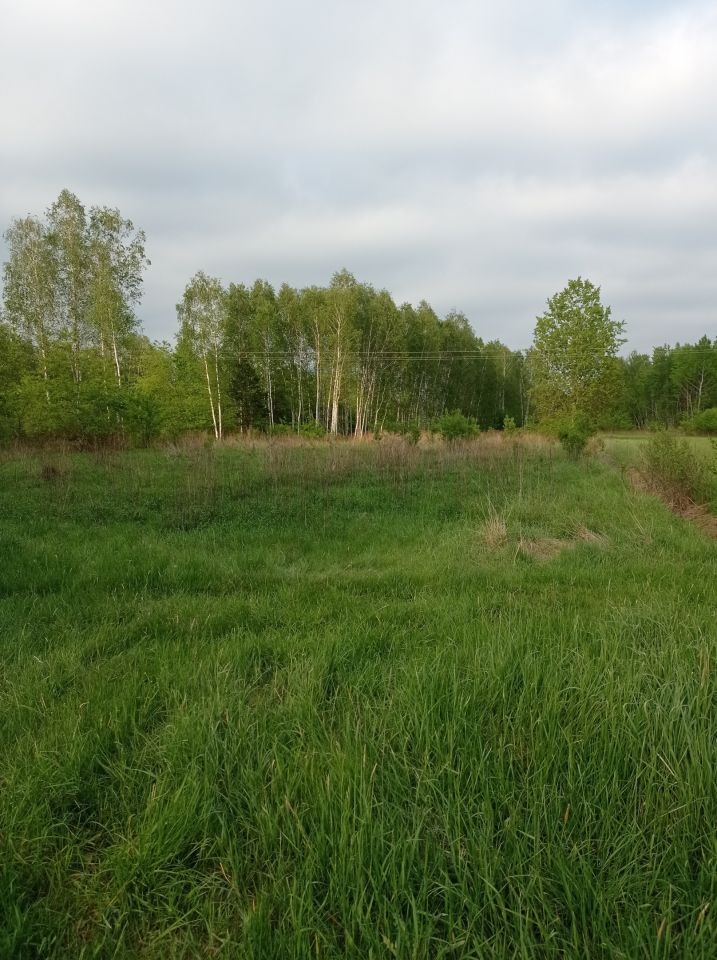 Działka rolna Sarzyna. Zdjęcie 2