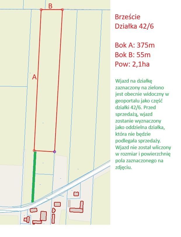 Działka rolna Brzeście. Zdjęcie 3