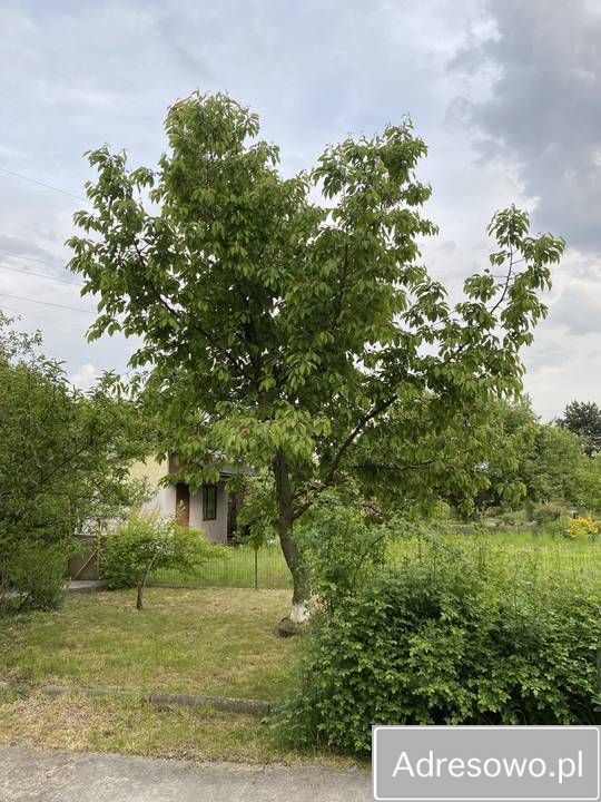 Działka rod Wrocław Fabryczna, ul. Klecińska. Zdjęcie 9