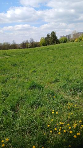 Działka rolna Tarnów Grabówka, Monte Cassino Tarnów Marynki Wojennej. Zdjęcie 1
