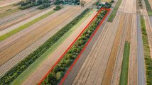 Działka budowlana Olempin. Zdjęcie 1