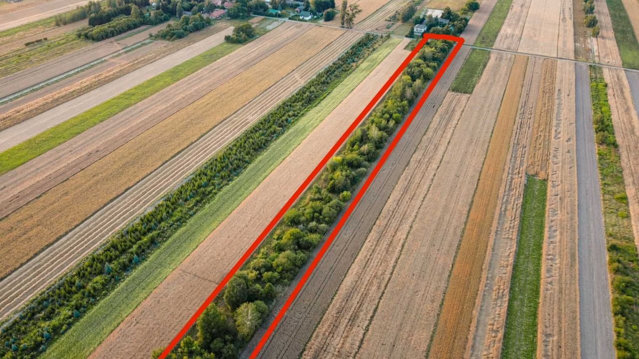 Działka budowlana Olempin. Zdjęcie 2