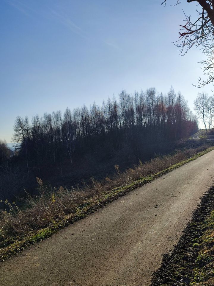 Działka siedliskowa Drohobyczka. Zdjęcie 7