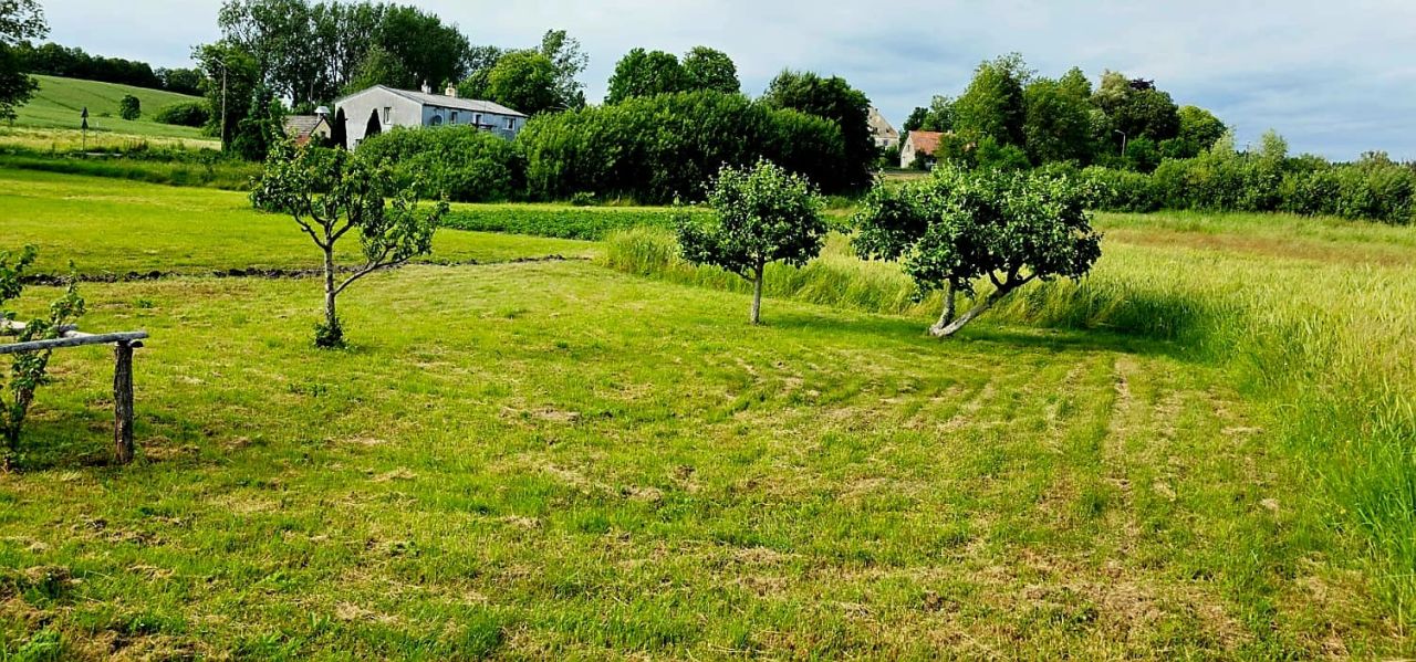 siedlisko, 4 pokoje Pierwągi. Zdjęcie 2