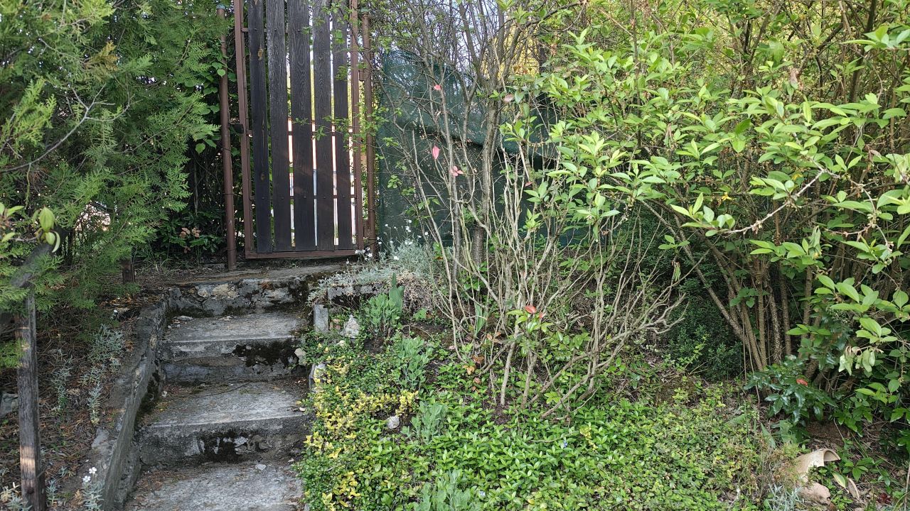 Działka rod Olkusz Czarna Góra, ul. Żuradzka. Zdjęcie 4