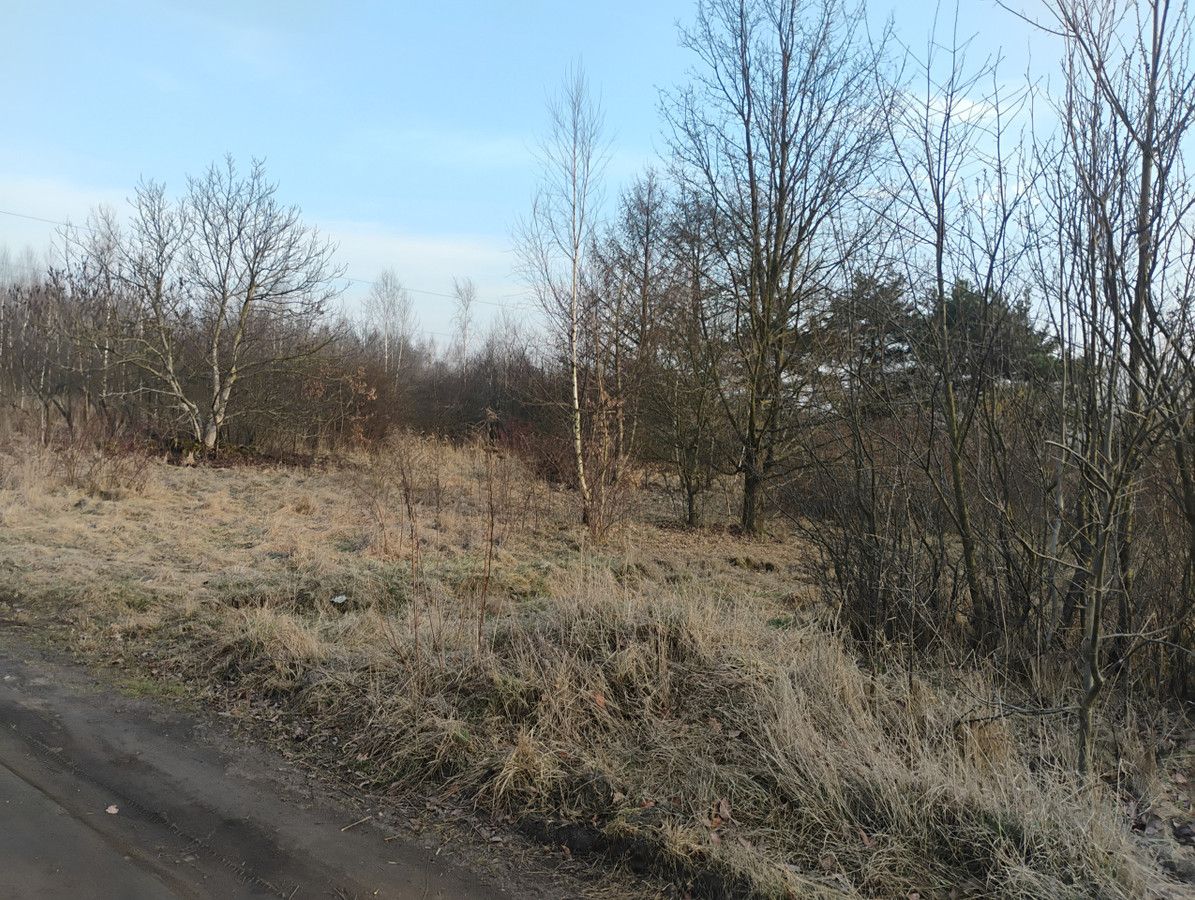 Działka budowlana Łódź Widzew. Zdjęcie 9