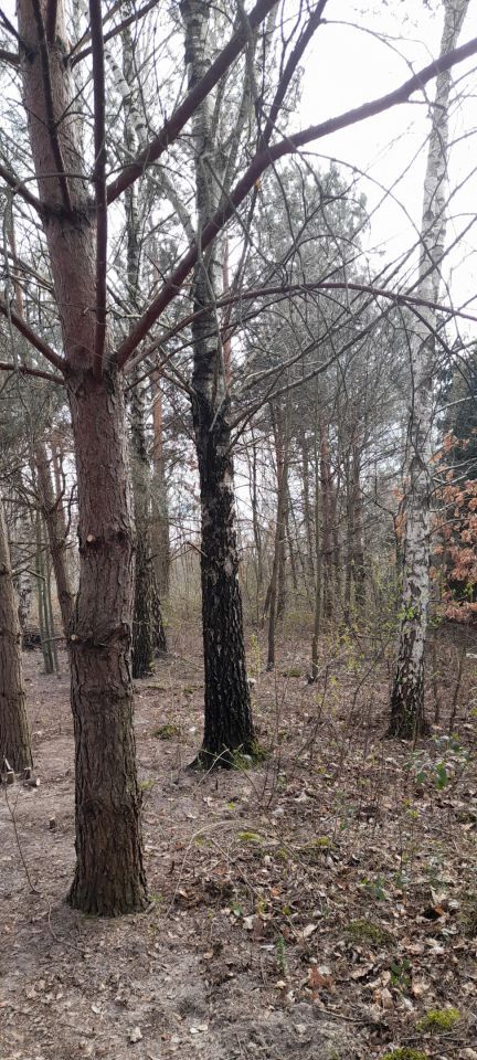 Działka budowlana Pionki, ul. Wesoła. Zdjęcie 6